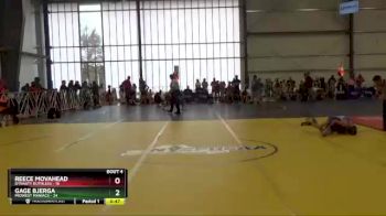 80 lbs Round 2 - Gage Bjerga, Midwest Maniacs vs Reece Movahead, Dynasty Ruthless