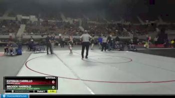 D3-157 lbs Semifinal - Esteban Carrillo, Walden Grove vs Broden Harrold, American Leadership Gilbert North