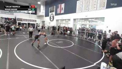 157 lbs Cons. Round 2 - Dylan Tirapelle, Clovis High vs Roque Galvan, Villa Park High School
