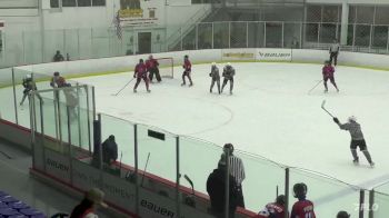 Replay: Home - 2024 NS Wings U14 vs Niagara U14 | Jan 20 @ 5 PM