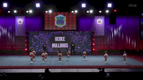 Ocoee Bulldogs [2022 Tiny Mite Show Cheer 1 LTD] 2022 Pop Warner National Cheer & Dance Championship