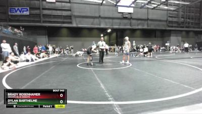 110 lbs Cons. Round 2 - Dylan Barthelme, Andover vs Brady Rosenhamer, Wichita Blue Knights