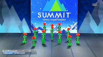 Energizers - Leprechauns [2026 Youth - Premier - Variety - Small Finals] 2026 The Dance Summit