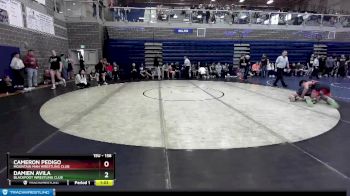 158 lbs Cons. Semi - Damien Avila, Blackfoot Wrestling Club vs Cameron Pedigo, Mountain Man Wrestling Club