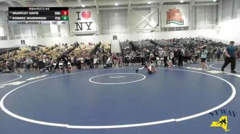 85 lbs Cons. Round 3 - Dominic Wandersee, Purple Eagles Wrestling Academy vs Brantley Davis, Black Belt Wrestling Academy