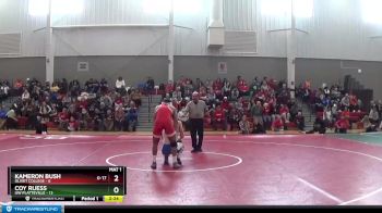 165 lbs Finals (2 Team) - Coy Ruess, UW Platteville vs Kameron Bush, Olivet College