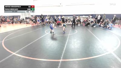 58 lbs Semifinal - Ariyah Brassfield, Rising Kingz - YTH vs Pavle Mercado, Hammers - YTH
