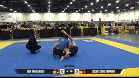 Lucques David Sorenson vs Jack David Junkins 2025 World IBJJF Jiu-Jitsu No-Gi Championship