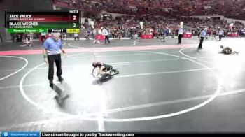 45 lbs Quarterfinal - Jace Yauck, Askren Wrestling Academy vs Blake Wegner, A-F Green Demons