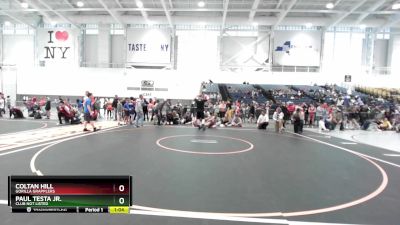 87 lbs Quarterfinal - Coltan Hill, Gorilla Grapplers vs Paul Testa Jr., Club Not Listed