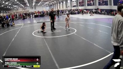 52 lbs Cons. Round 3 - Zaylah Castillo, Gracie Barra Westchase Wrestling Club vs Zane Enriquez, Takedown Elite Wrestling