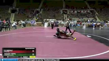 152 lbs Quarterfinal - Cj Mickle, Mcadory vs Woody Fipps, Mountain Brook