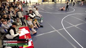 80 lbs Round 3 (4 Team) - Thor Gulbrandson, Lakeville vs Caleb Borcherding, Westfield