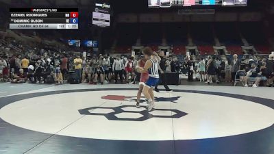 132 lbs Champ. Rd Of 64 - Ezekiel Rodrigues, Minnesota vs Dominic Olson, Nebraska