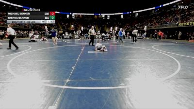 82 lbs Round Of 32 - Michael Benner, Central Dauphin vs Joshua Schaub, Dallas