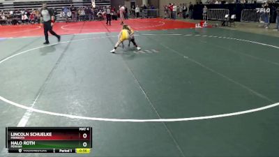 80 lbs Quarterfinal - Lincoln Schuelke, Minneota vs Halo Roth, Perham