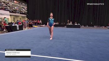 Maleah Anderson - Women's Group, Twin City Twisters - 2021 Women's Xcel Region 4 Championships