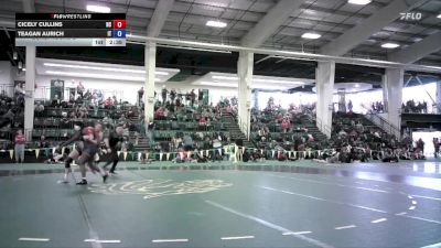 160 lbs Cons. Round 2 - Cicely Cullins, Hiram College vs Teagan Aurich, Indiana Tech