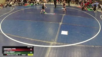42 lbs Champ. Round 2 - Anthony Vigil, Montrose Elite vs Hayes Hiskey, Sanderson Wrestling Academy