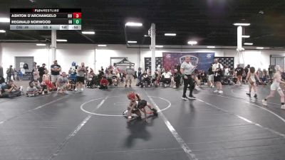 44 lbs Round 5 (6 Team) - Ashton D`Archangelo, Diamond State Inferno vs Reginald Norwood, Bay Brawlers