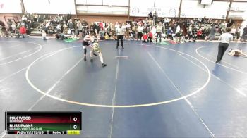 110 lbs Cons. Round 2 - Max Wood, Bear River vs Bliss Evans, Cougars Wrestling Club