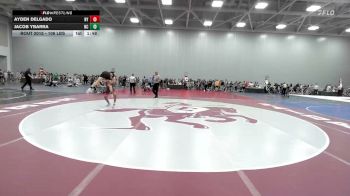 106 lbs Round Of 256 - Ayden Delgado, NY vs Jacob Ybarra, NC