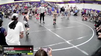 49 lbs 2nd Place Match - Harvey Smith, Mighty Warriors Wrestling Acad vs Mikah Smith, Carolina Reapers