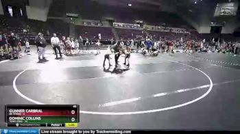 45 lbs Round 2 (10 Team) - Dominic Collins, Team Utah vs Gunner Carbral, NE Titans