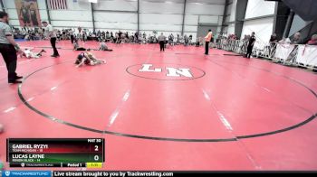 80 lbs Rd# 4- 2:00pm Friday Final Pool - Lucas Layne, Minion Black vs Gabriel Ryzyi, Team Michigan