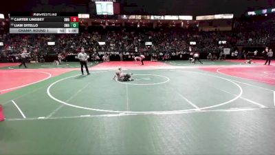 84 lbs Champ. Round 1 - Liam Ditello, DWA vs Carter Lindsey, DWA