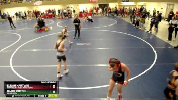 97 lbs Cons. Round 2 - Elijah Hartwig, Rosemount Irish Wrestling vs Blake Orton, Minnesota