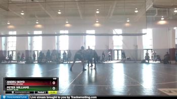 149 lbs Quarterfinal - Peter Williams, Mount Olive vs Andru Boyd, Roanoke College