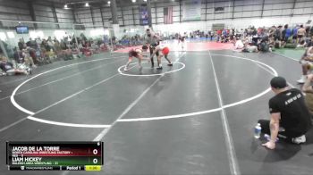 132 lbs Semis (4 Team) - Liam Hickey, RALEIGH AREA WRESTLING vs Jacob De La Torre, NORTH CAROLINA WRESTLING FACTORY - RED