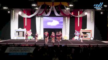 Carolina Spirit Athletics - Leopard Sharks [2024 L4 Junior - D2 Day 1] 2024 ASC Battle Under the Big Top Grand Nationals