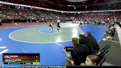 D1-120 lbs Quarterfinal - Lincoln Flayter, Hartford Union vs Cael Zelinski, Muskego