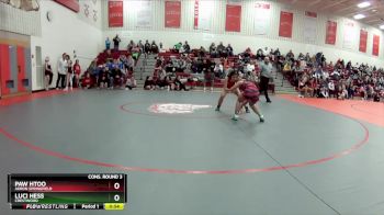 100 lbs Cons. Round 3 - Luci Hess, Crestwood vs Paw Htoo, Akron Springfield