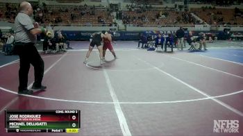 D1-215 lbs Cons. Round 2 - Michael Delligatti, Dobson vs Jose Rodriguez, Mountain View Hs (Mesa)