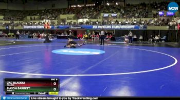 125 lbs Quarterfinal - Zac Blasioli, Millikin vs Mason Barrett, Averett