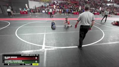 75 lbs Cons. Round 4 - Kayden Chadwick, Wausau West Youth Wrestling vs Blake Briese, Amery