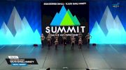 Star Steppers Dance - Youth Small Variety [2025 Youth - Variety Prelims] 2025 The Dance Summit