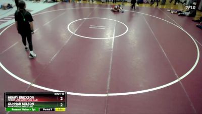 61 lbs Round 3 - Henry Erickson, Forest Lake Wrestling Club vs Gunnar Nelson, No Nonsense Wrestling