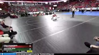D1-120 lbs Cons. Round 1 - Matthew Seim, Brookfield East vs Cole Fitzpatrick, La Crosse Logan/Cen.