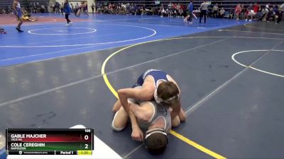 106 lbs Quarterfinal - Cole Cereghin, NAPOLEON vs Gable Majcher, Yale HS