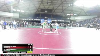 144 lbs Round 3 - Elijah Cummins, Washington vs Keagan Olson, Washington