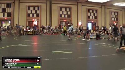 80 lbs Finals (8 Team) - Cayden Wadle, Yale Street WC vs Forest Rose, Revival Gray