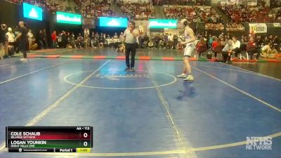 AA - 113 lbs Cons. Semi - Cole Schaub, Billings Skyview vs Logan Younkin, Great Falls CMR