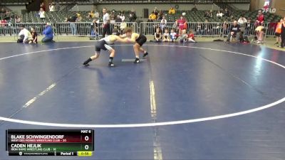 102 lbs Finals (2 Team) - Caden Hejlik, Iron Rams Wrestling Club vs Blake Schwingendorf, West Des Moines Wrestling Club