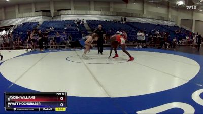 165 lbs Quarterfinal - JayDen Williams, MI vs Wyatt Hochgraber, IL