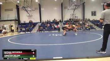 197 lbs Semifinal - Nathan Critchfield, Indiana Tech vs Christian DeLuna, Siena Heights University