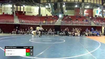 106 lbs Round 3 (3 Team) - Cadillac Niroomand-rad, Papillion-LaVista vs Levi Cerny, Columbus